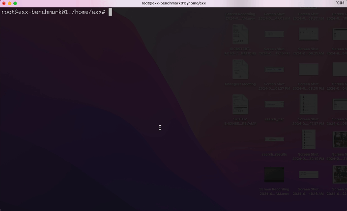 nvidia-bug-report-1.gif